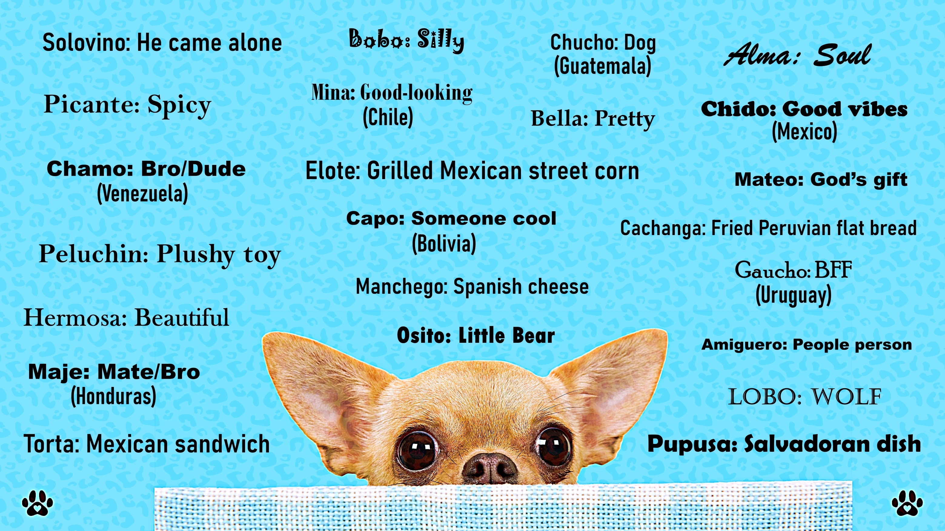 Spanish dog names female discount